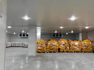 China Bitzer Stainless Steel Cold Storage Freezer With Direct Expansion System factory