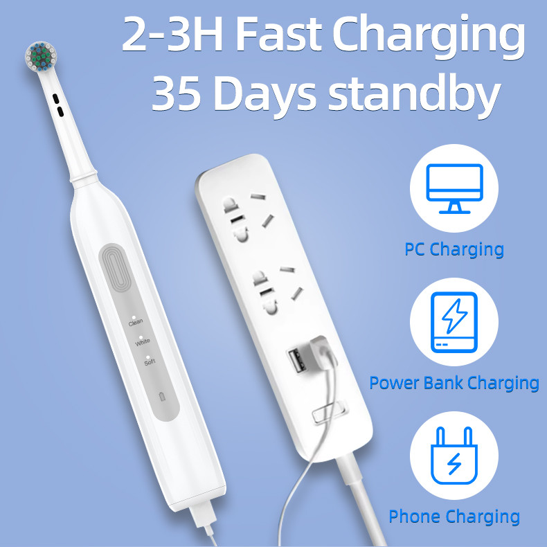 Wholesale BX11 Rechargeable Rotating Brush Oral Heads Timer Modes Usb Electric Toothbrush