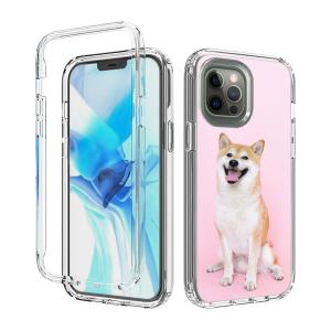 China 6.1 Inch OEM Personalized Cell Phone Cases For Iphone 12 Pro factory