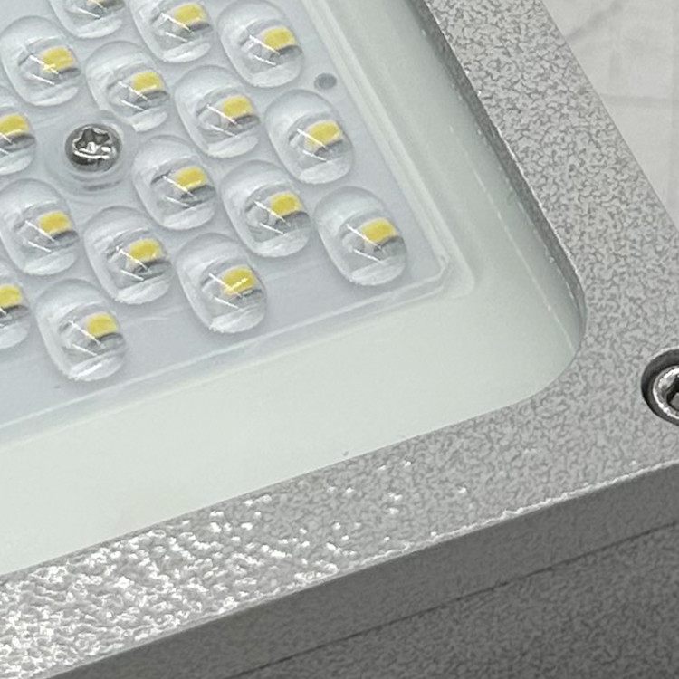 Professional Manufacturer Ip65 Waterproof SMD Led Explosion-Proof Light