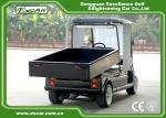 Black Color Lifted Beverage Food Golf Cart 48V 2 Passenger Hotel Buggy Car