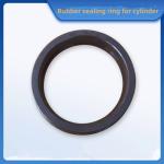 Mechanical Shafts Fluorine Rubber Nitrile Rubber Sealing Rings Piston Hydraulic
