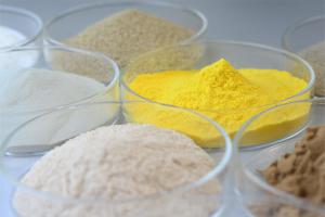 China Highly Active Endo Bakery Enzyme Xylanase In Food For Flour Improvement factory