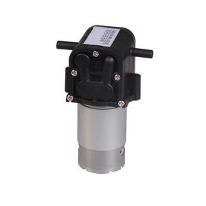 China Miniature Diaphragm Pump DC 12V 24V 36V Water Pump Water Purifier FDA Food Grade Pump 2L/min mini water dispenser pump factory