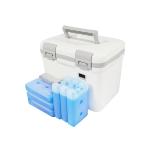 Keeping Insulin Cold While Traveling Mini Refrigerator For Insulin