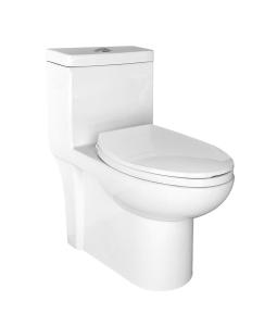 China 12 Inch Rough In Toilet Single Flush Siphon S Trap Wc Eastern Water Closet factory