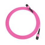 SENKO, LSZH 3.0mm 12F, Type B, Pre-terminated MPO Patch Cords