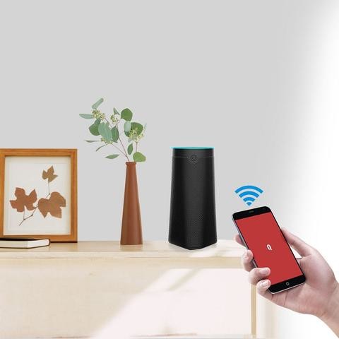 Amazon Alexa Smart AI Speaker Digital Class D Amplifier Speaker Passive Type