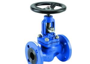 China Din Standard Pn16 Steam Globe Valve Cast Iron Bellow Seal factory