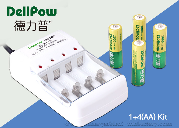China Compact Design 1000mAh Rechargeable Battery Kit Nimh 4 AA Delipow factory