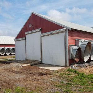 Galvanized Steel Poultry House with Gable Roof and Bolts Connection
