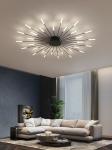 Nordic fireworks ceiling lamp bedroom living room LED black ceiling lights
