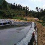 Fish Pond HDPE Geomembrane Liner 0.3mm 0.5mm 1mm 2mm Black White Blue Green