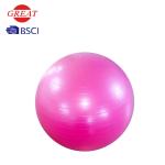PVC Anti Burst Gym Ball For Exercise 3 Year Warranty Foot Pump Included