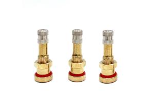 China Brass Metal Tire Valve Stem Tubeless Stem Tire Valve Rubber V3.20 100% Leakage Test factory