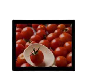 China 19&quot; Industrial Touch Screen Monitor VGA DVI Input Kiosks Waterproof LCD Monitor factory