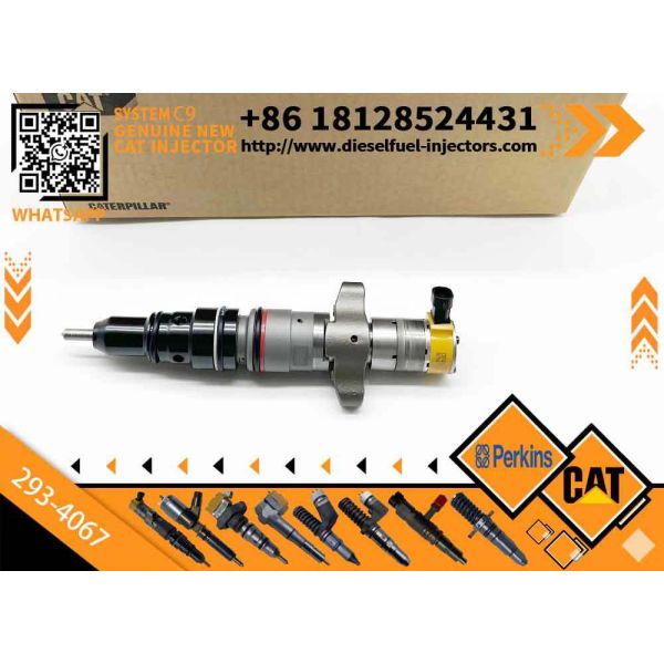C9 Fuel Injector Assy 387-9433 328-2574 328-2573 293-4067 245-3517 10R7224 20R-8968 for CAT E336D Excavator Nozzle