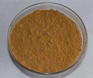 China GMP Supplier 1%-2% DNJ powder from white mulberry leaf extract factory