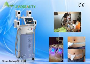 China CE approved strongest cooling system cryolipolysis cryotherapie machine with two air pumps factory