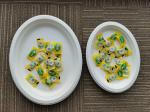 10 / 12 Inch Oval Restaurant Nature Bagasse Paper Plates