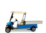 Popular 48v Utility Electric Car Golf Cart With Led Lights For Luggage