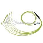 16F Duplex OM5 LSZH 3.0mm MPO Fanout Cable For 200G QSFP+