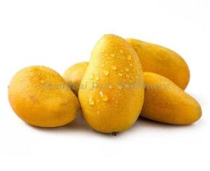 China Aseptic Filling Mango Processing Machine With Brix 28-30% / 30-32% / 36-38% factory