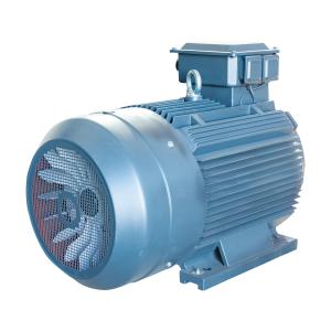China YE3 2 Pole Three Phase Motor 45Kw 50Hz 380V Electric Motor High Efficiency factory