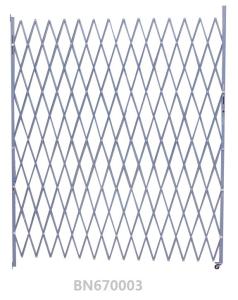 China Doorway Control Steel Folding Security Gates For Windows Easily Installation factory