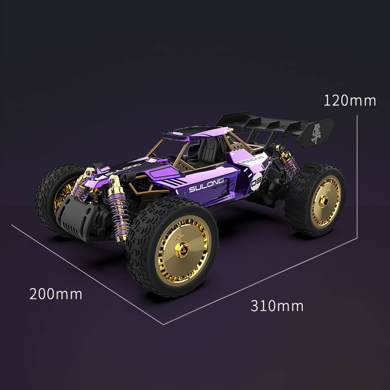 Large Alloy RC Car for Off-Road Climbing Front and Rear Shock Absorbers 14 Years Up