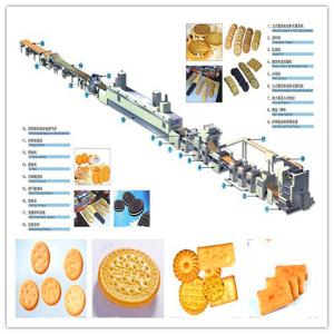 China biscuit machinery factory