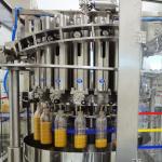 SUS304 / SS316 Mango Pulp Production Line 5 T/H Flexible Operation Support