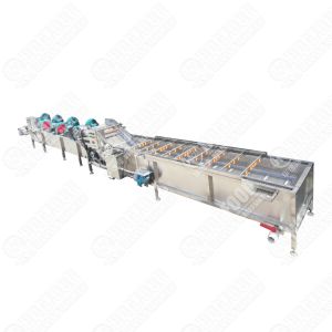 China Direct Factory Pickled Ginger Washing And Cutting Machine Process Line With Packing Machine And Dewater Machine on sale
