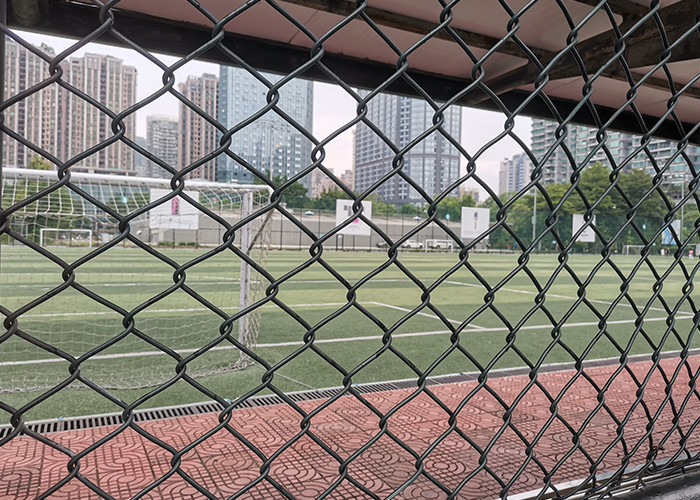 25x25mm Galvanized Chain Link Fence PVC Coated Steel Diamond Wire Mesh