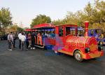 Beautiful Decoration Carnival Train Ride For Outdoor Amusement Park
