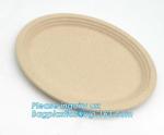 biodegradable tableware 5 compartment sugarcane tray,100% Biodegradable
