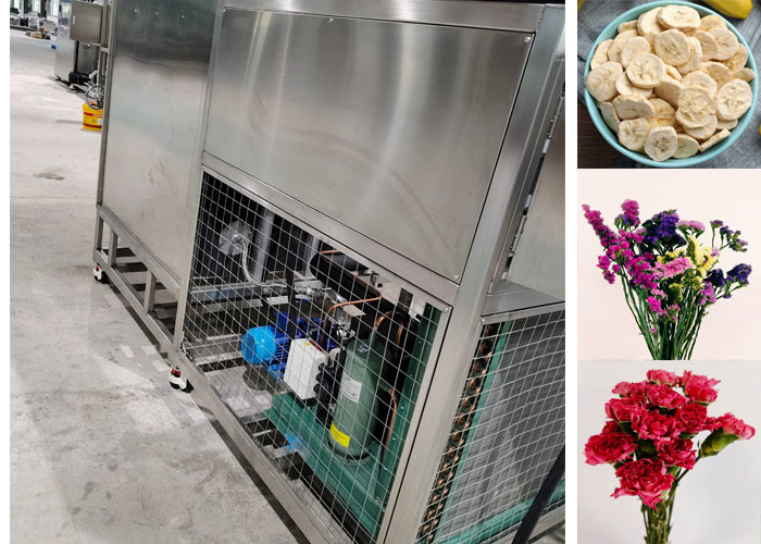 Large Food Vacuum Freeze Drying Machine -40C Freezing Temperature