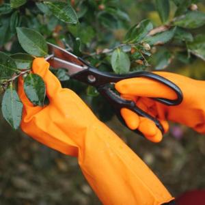 China Excellent Grip Durable Garden Gloves Tear Resistant Kitchen Rubber Gloves factory