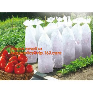 high light transmittance solar control seeding nursery greenhouse covers,100%