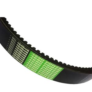 China V-Ribbed Belt 01183139 01182737 0118 3139 0118 2737 1183139 1182737 For Deutz TCD7.8 ENGINE factory