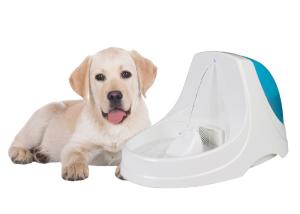 China 3V 0.06W 3.6 Liter Cat Water Drinking Fountain BPA Free Plastic Material factory