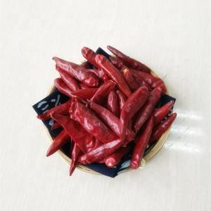 China Cayenne Dried Red Chilli Peppers 4 - 7cm Strong Pungent Flavor factory