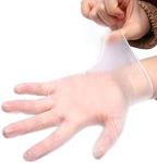 Clear Transparent Protective L 5.5g Disposable PVC Gloves