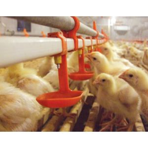 ABS Stainless Quail Nipple Drinker Chicken Nipple Drinker System