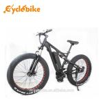 48 V 1000w Mid Drive Motor Fat Tire Powerful Electric Bike For Ladies , No