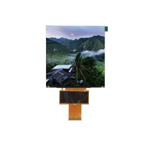 5.0inch 600X600 IPS Highlight Square LCD Display with Mipi Interface