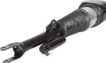 37107915953 Air Suspension Parts Air Suspension Strut