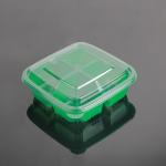 Green Square Pastry Tray Disposable Plastic Dessert Containers