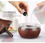 WIFI 400ml Vase Shape Security Fog Machine Smart Ultrasonic Wood Essentia Oil