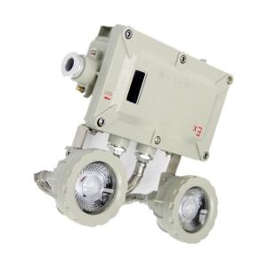 China IP65 Automatic Twin Head Flameproof Emergency Light Explosion Proof factory
